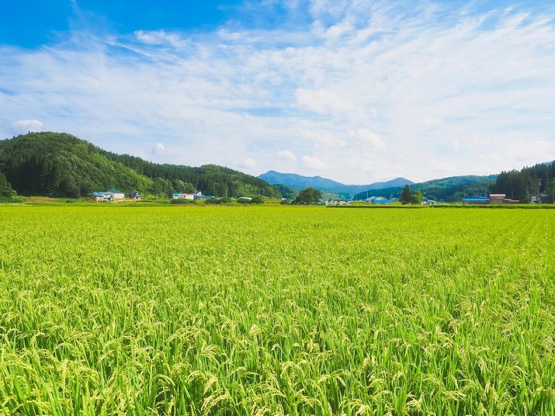 建設業(土木)の経験者募集！